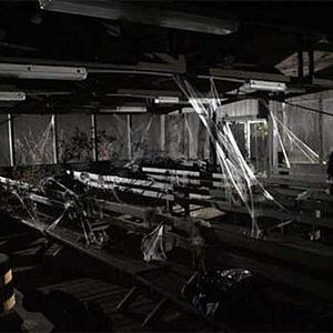 Fotoğraf The Sacred