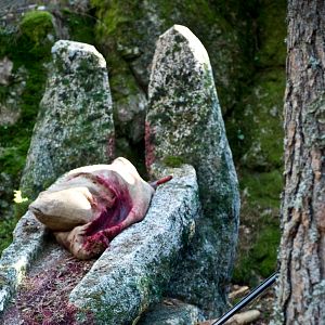 Fotoğraf Luna, el misterio de Calenda