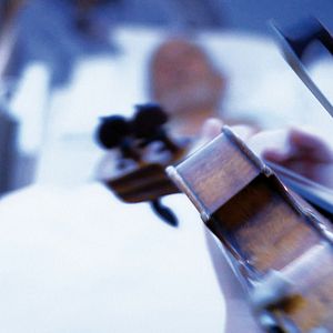 Fotoğraf Violinissimo
