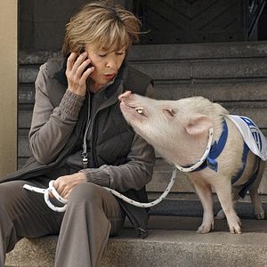 Fotoğraf 1:0 für das Glück