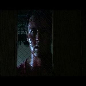 Fotoğraf The Quiet Ones