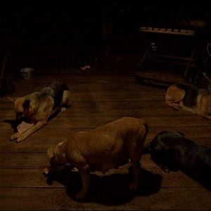 Fotoğraf Karanlıktan Aydınlığa