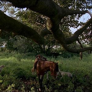 Fotoğraf Karanlıktan Aydınlığa