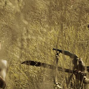 Fotoğraf Leonel Arancibia