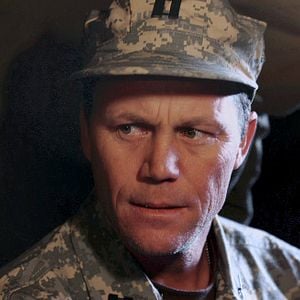 Fotoğraf Camel Spiders