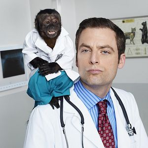 Fotoğraf Animal Practice