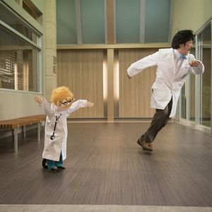 Fotoğraf Animal Practice