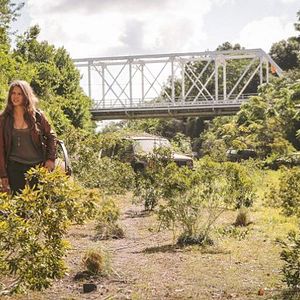 Fotoğraf Tracy Spiridakos