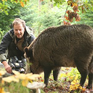 Fotoğraf Das grüne Wunder - Unser Wald
