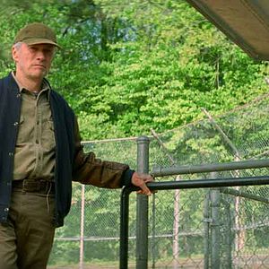 Fotoğraf Trouble With The Curve