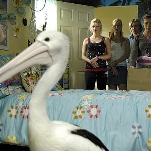 Fotoğraf Angus McLaren