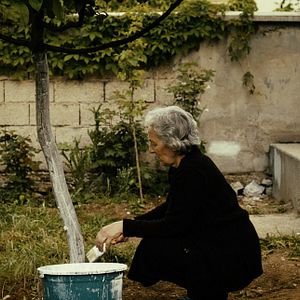 Fotoğraf Babamın Sesi