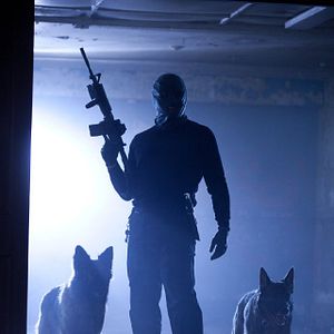 Fotoğraf Koleksiyoncu 2