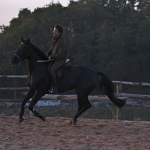 Fotoğraf Guillaume Canet