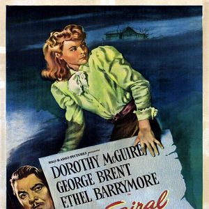 Fotoğraf The Spiral Staircase