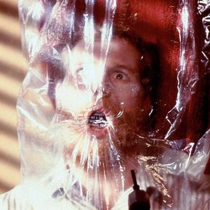 Fotoğraf Monkey Shines