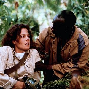 Fotoğraf Gorillas In the Mist : The Story of Dian Fossey