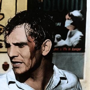 Fotoğraf The Collector