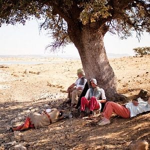 Fotoğraf Sleepless Knights