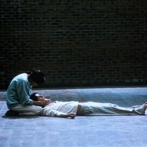 Fotoğraf Lothaire Bluteau