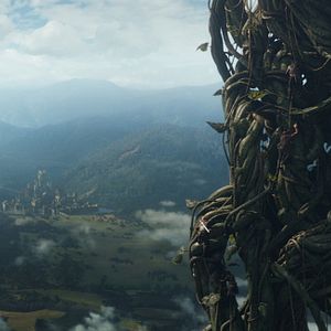 Fotoğraf Dev Avcısı Jack