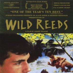 Fotoğraf Wild Reeds