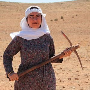 Fotoğraf Hükümet Kadın