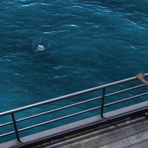 Fotoğraf Cesur Balık 2