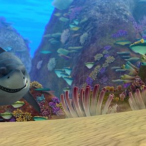 Fotoğraf Cesur Balık 2