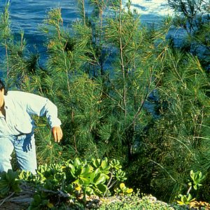 Fotoğraf Santa Barbara