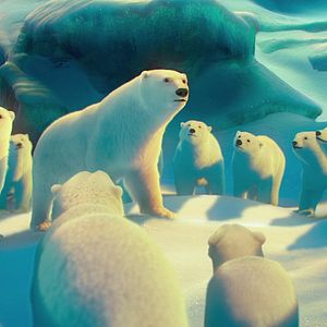 Fotoğraf John Stevenson