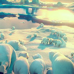 Fotoğraf John Stevenson