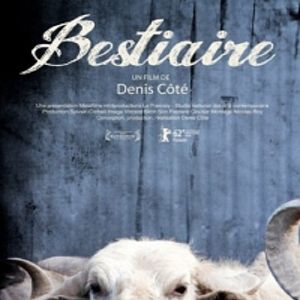 Fotoğraf Bestiaire