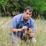 Fotoğraf Arkadaşım Tilki