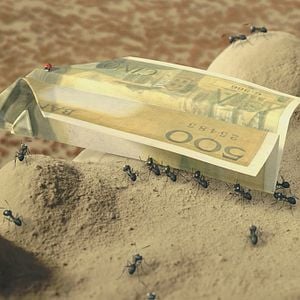 Fotoğraf Kayıp Karıncalar Vadisi