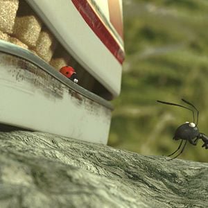 Fotoğraf Kayıp Karıncalar Vadisi