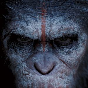 Fotoğraf Maymunlar Cehennemi: Şafak Vakti