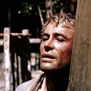 Fotoğraf Peter O'Toole