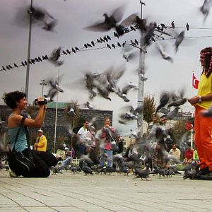 Fotoğraf Elfe Uluç