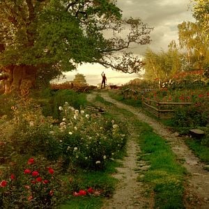 Fotoğraf Güzel ve Çirkin