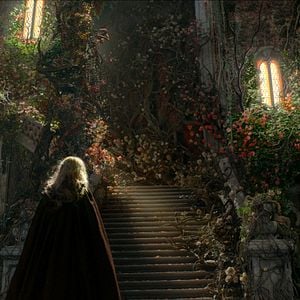 Fotoğraf Güzel ve Çirkin