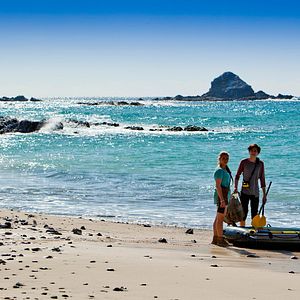 Fotoğraf Toby Wallace