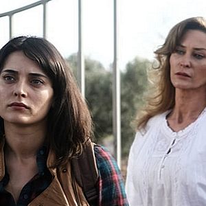 Fotoğraf Zeytin Tepesi