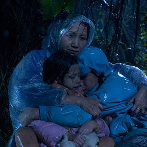 Fotoğraf Sokak Köpekleri