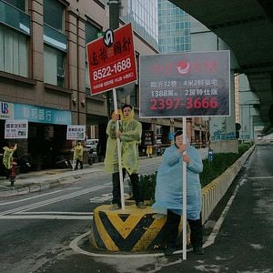 Fotoğraf Sokak Köpekleri