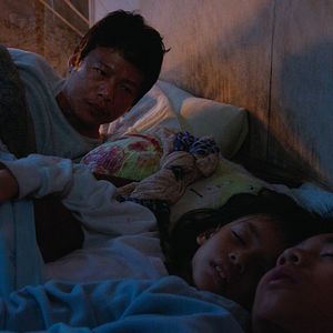 Fotoğraf Sokak Köpekleri