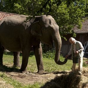 Fotoğraf Hundraåringen som klev ut genom fönstret och försvann