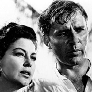 Fotoğraf İguana Geceleri