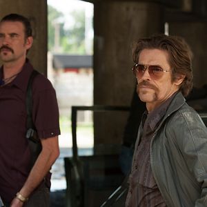 Fotoğraf Matt Dillon