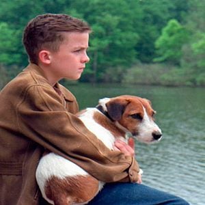 Fotoğraf My Dog Skip